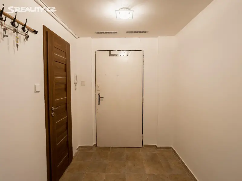 Pronájem bytu 3+kk 70 m², Krásova, Praha 3 - Žižkov