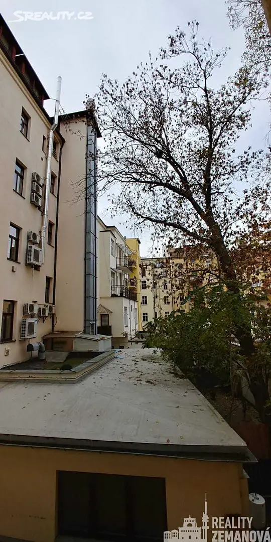 Pronájem bytu 1+1 40 m², Slezská, Praha 3 - Vinohrady