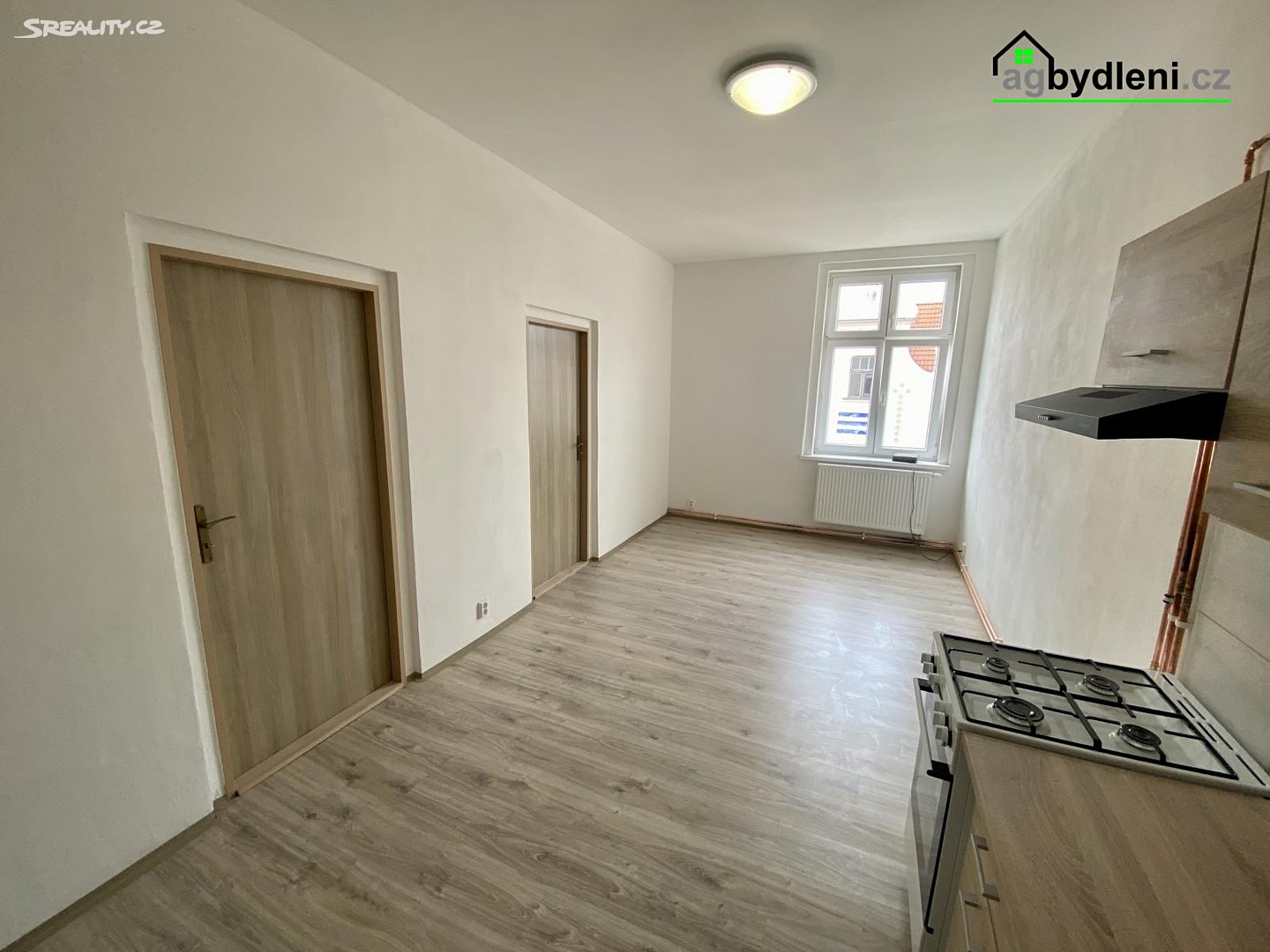Pronájem bytu 2+1 64 m², Palackého náměstí, Plzeň - Jižní Předměstí