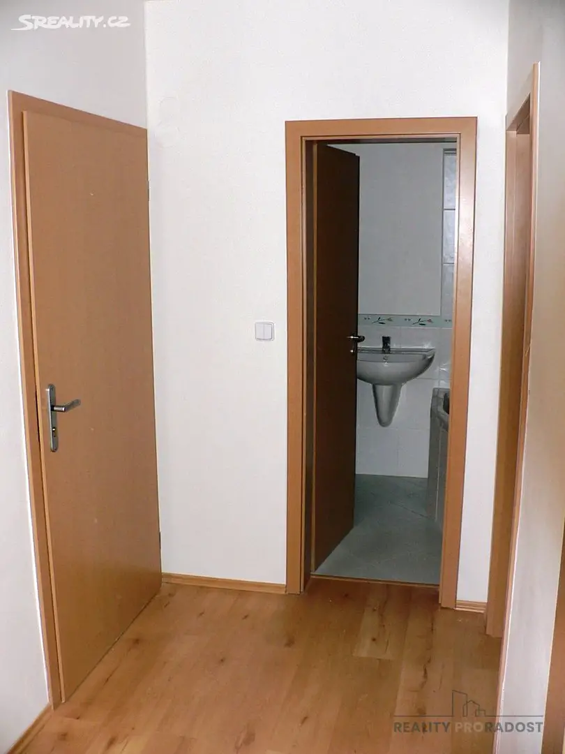 Pronájem bytu 2+kk 47 m², Čapkova, Praha 4 - Michle