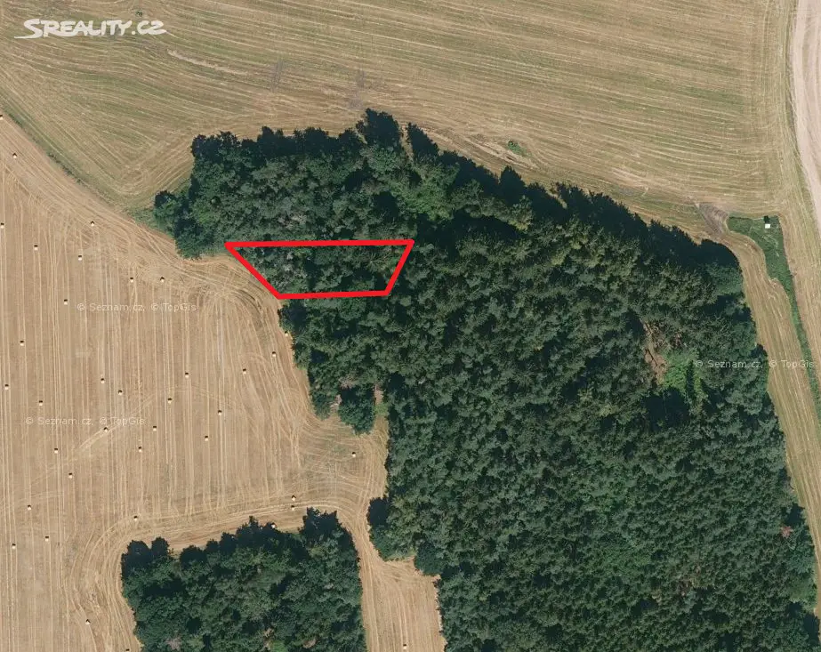 Prodej  lesa 1 688 m², Bílsko - Netonice, okres Strakonice
