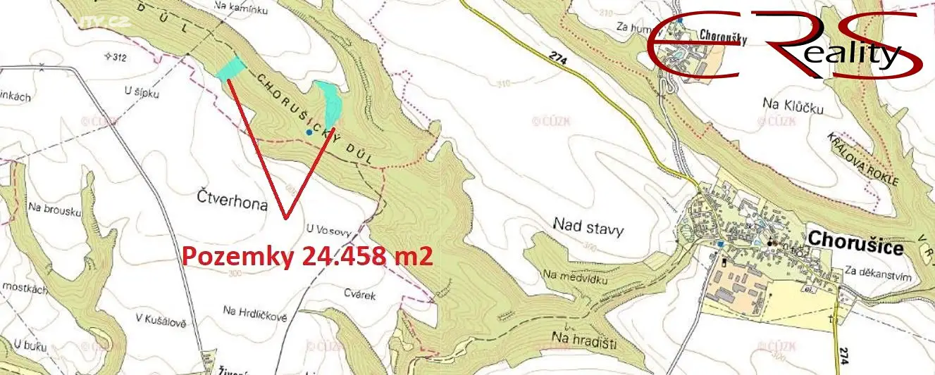 Prodej  lesa 24 456 m², Chorušice - Velký Újezd, okres Mělník