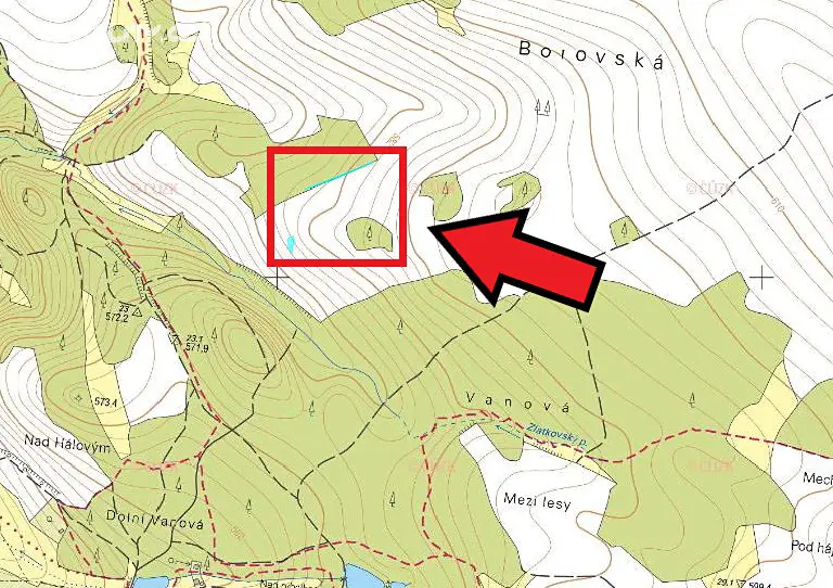Prodej  lesa 696 m², Věchnov, okres Žďár nad Sázavou