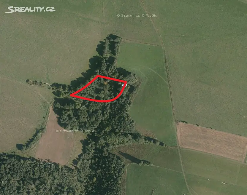 Prodej  lesa 1 822 m², Vítkov, okres Opava