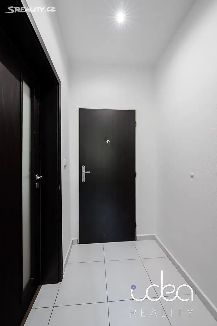 Pronájem bytu 1+kk 23 m², Nerudova, Plzeň - Jižní Předměstí