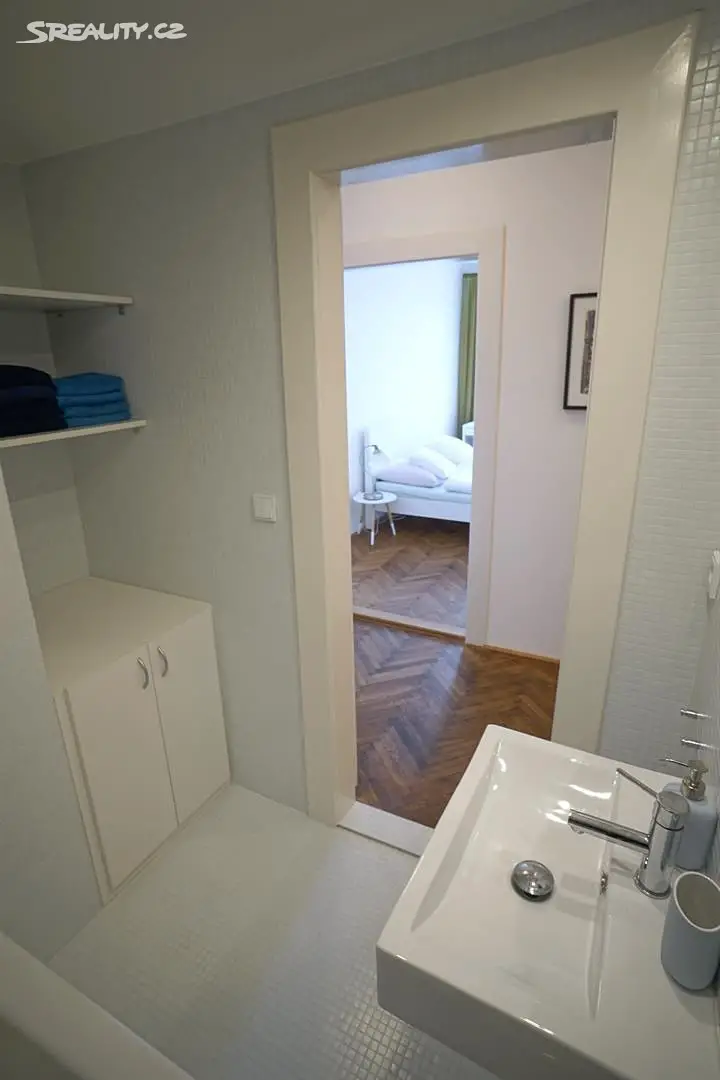 Pronájem bytu 6 pokojů a více 17 m², Anenská, Praha 1 - Staré Město