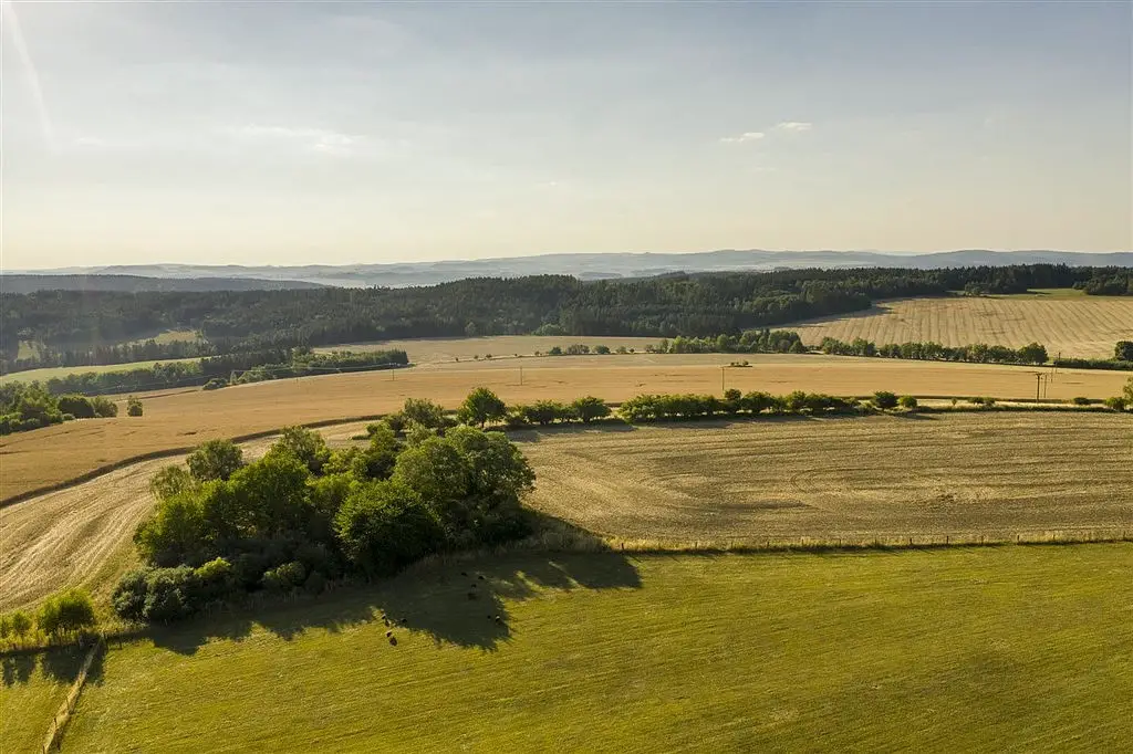 Tis u Blatna, okres Plzeň-sever