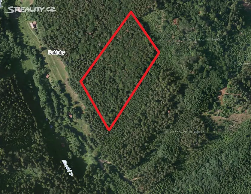 Prodej  lesa 2 887 m², Jílové u Držkova, okres Jablonec nad Nisou