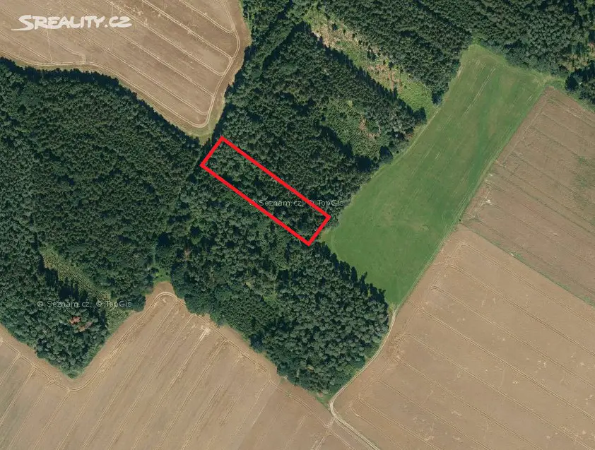 Prodej  lesa 5 462 m², Malšice - Dobřejice, okres Tábor