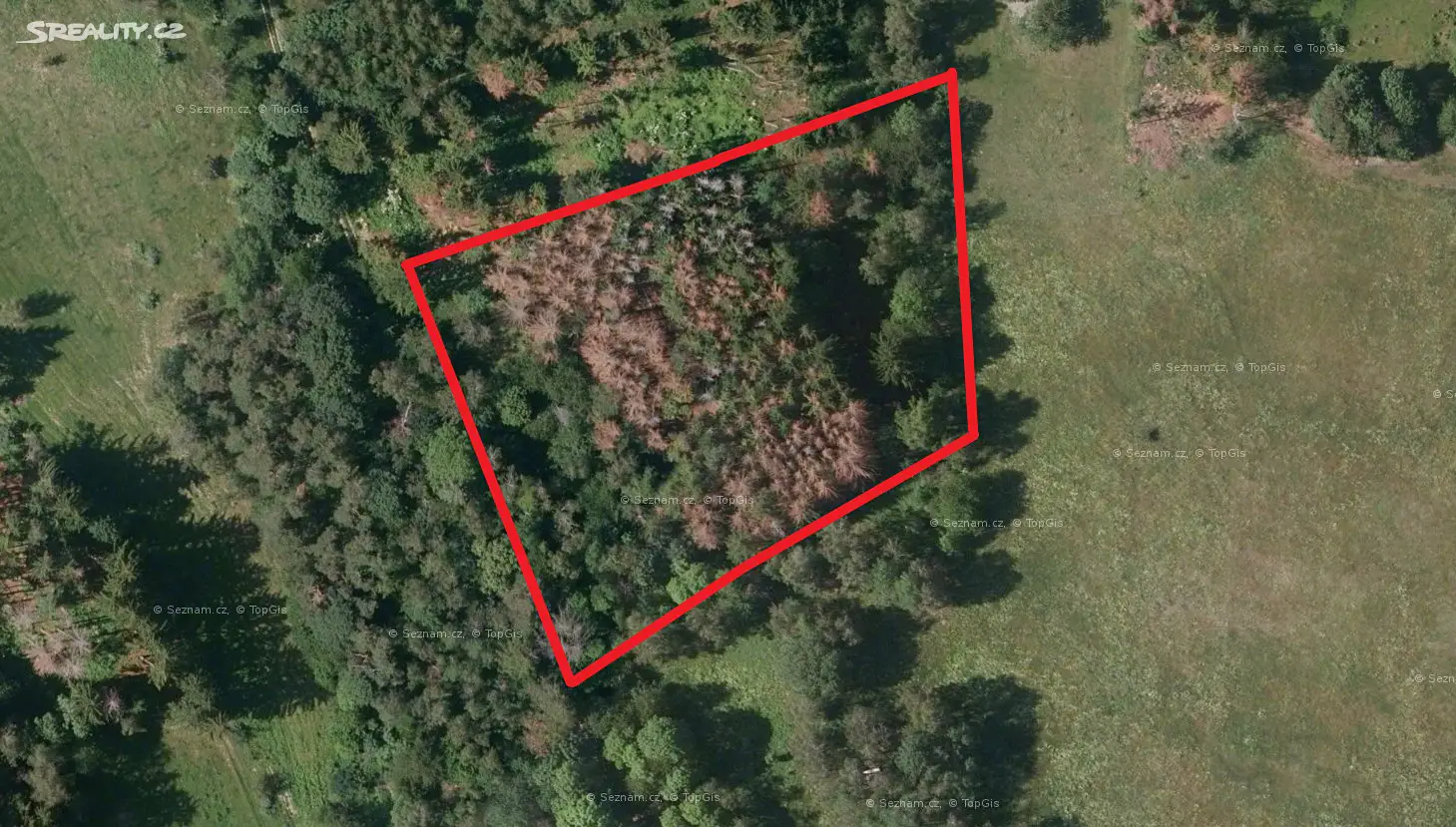 Prodej  lesa 1 195 m², Železný Brod - Hrubá Horka, okres Jablonec nad Nisou