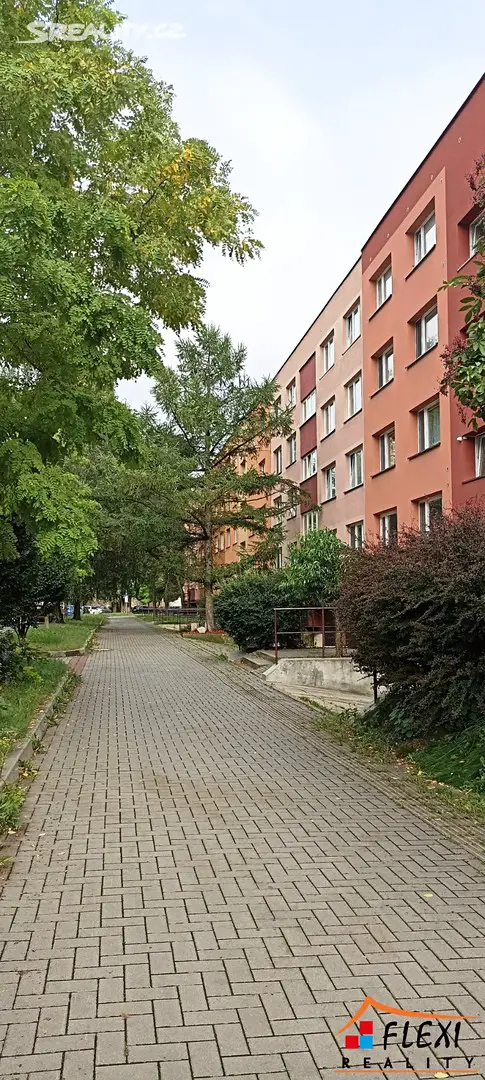 Pronájem bytu 1+1 39 m², Petra Křičky, Ostrava - Moravská Ostrava