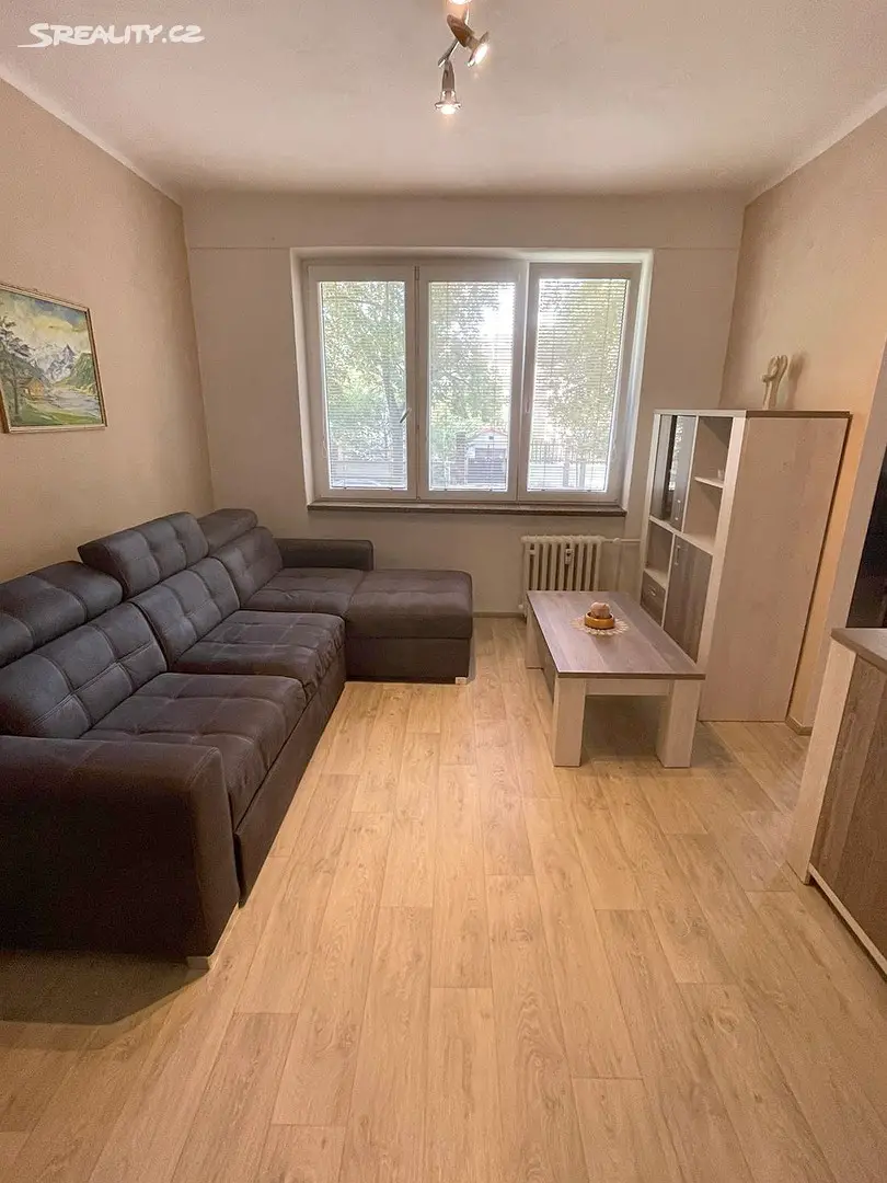Prodej bytu 2+1 55 m², Táborská, Plzeň - Východní Předměstí