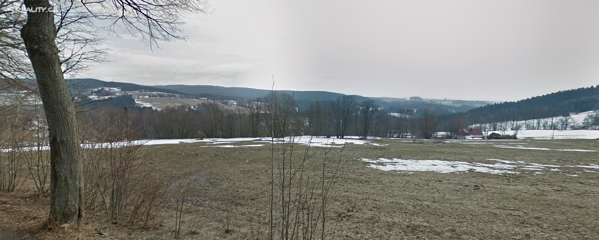 Prodej  stavebního pozemku 13 380 m², Říčky v Orlických horách, okres Rychnov nad Kněžnou