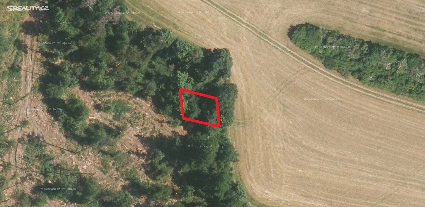 Prodej  lesa 2 916 m², Říčany, okres Brno-venkov