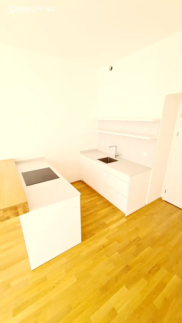 Pronájem bytu 3+kk 70 m², Rybalkova, Praha 2 - Vinohrady