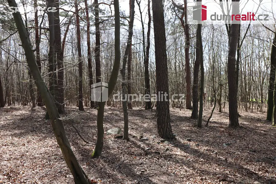 Prodej  pole 6 973 m², Ondřejov - Třemblat, okres Praha-východ