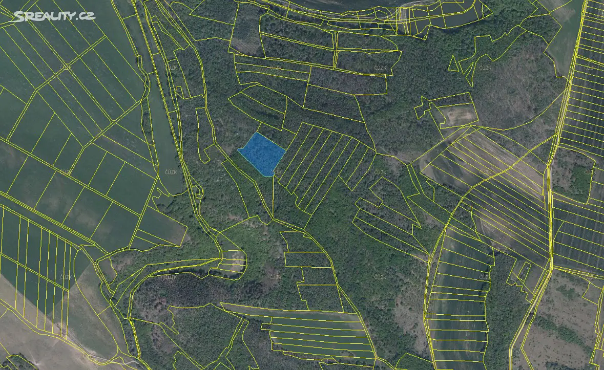 Prodej  lesa 8 579 m², Černín, okres Znojmo