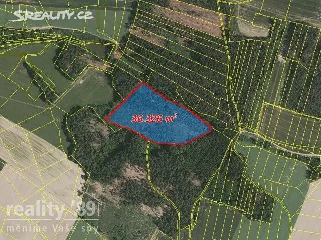 Prodej  lesa 36 326 m², Šebířov, okres Tábor
