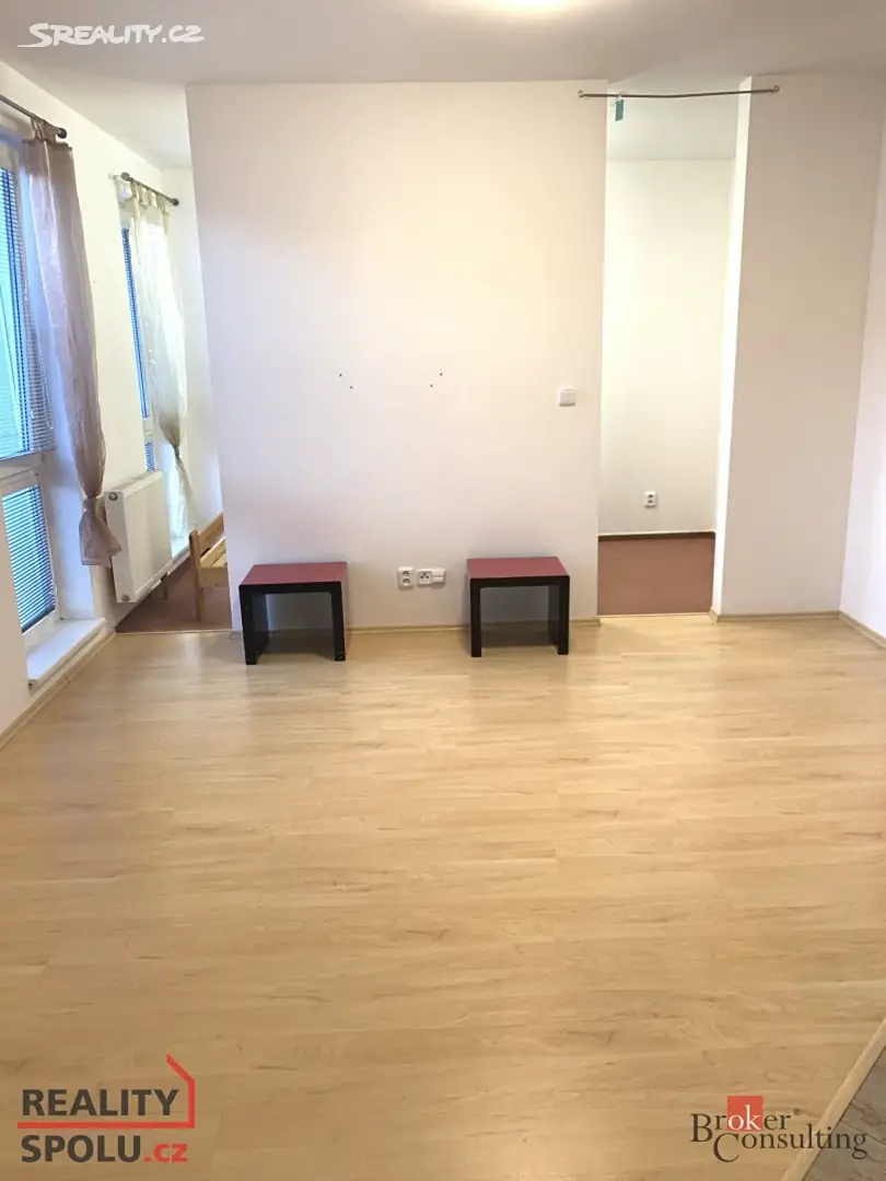 Pronájem bytu 1+kk 45 m², Karlova, Plzeň - Jižní Předměstí