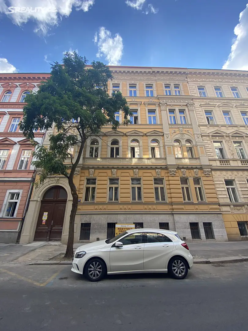 Pronájem bytu 2+1 59 m², Americká, Praha - Vinohrady