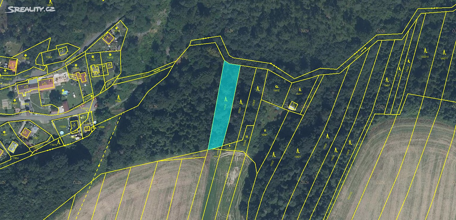 Prodej  lesa 5 538 m², Pustá Polom, okres Opava