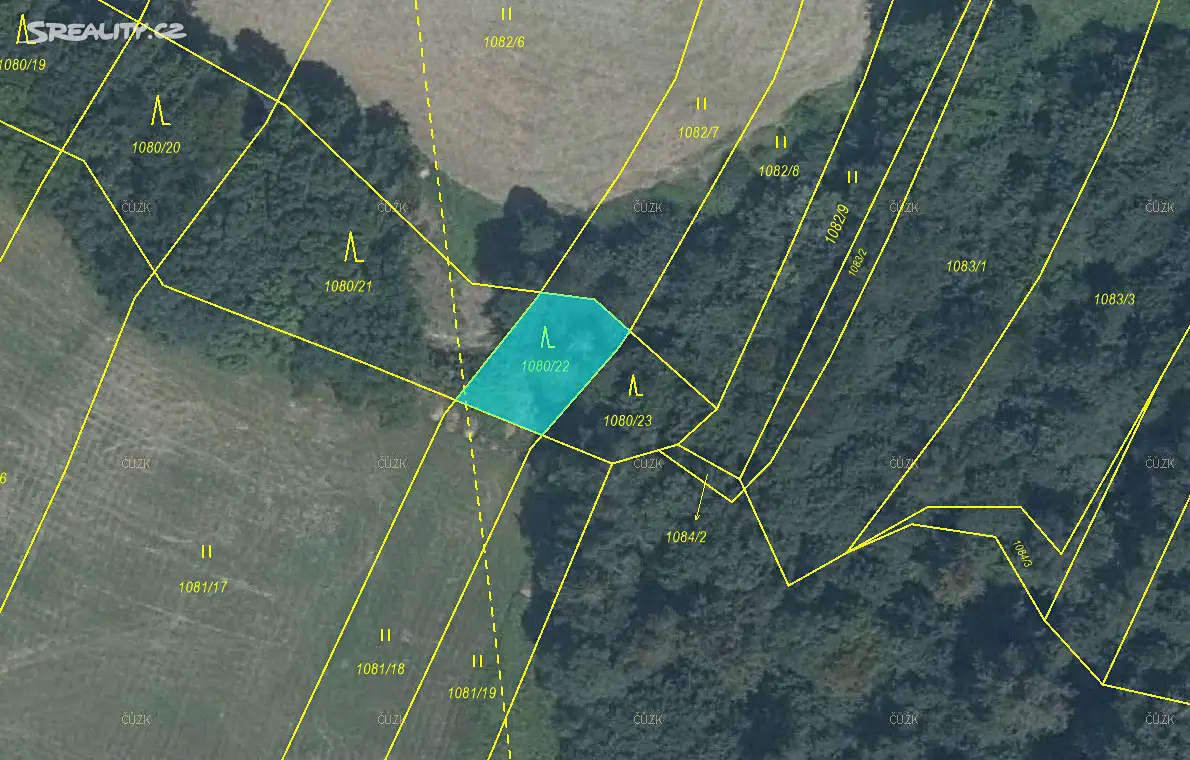 Prodej  lesa 5 538 m², Pustá Polom, okres Opava
