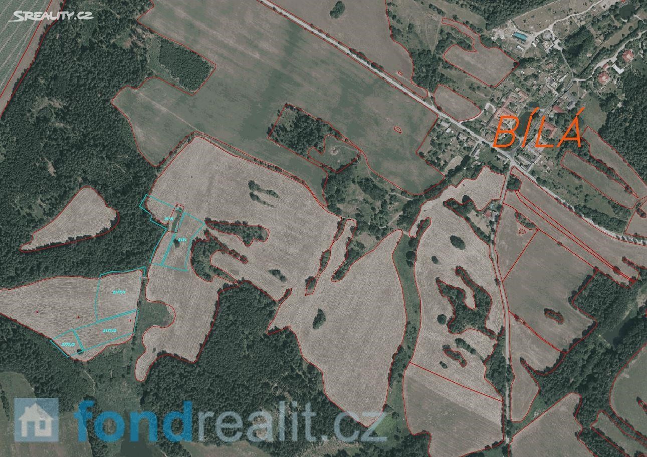 Prodej  pozemku 31 127 m², Číměř - Bílá, okres Jindřichův Hradec