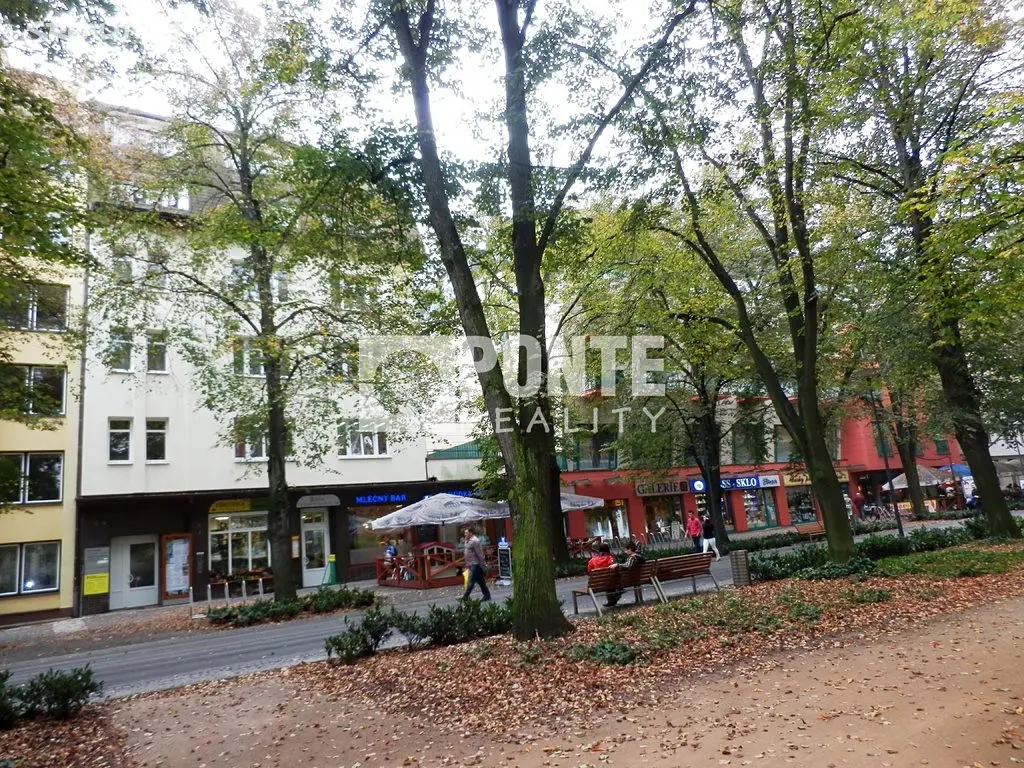 Pronájem bytu 1+kk 22 m², nám. T.G.Masaryka, Poděbrady - Poděbrady III