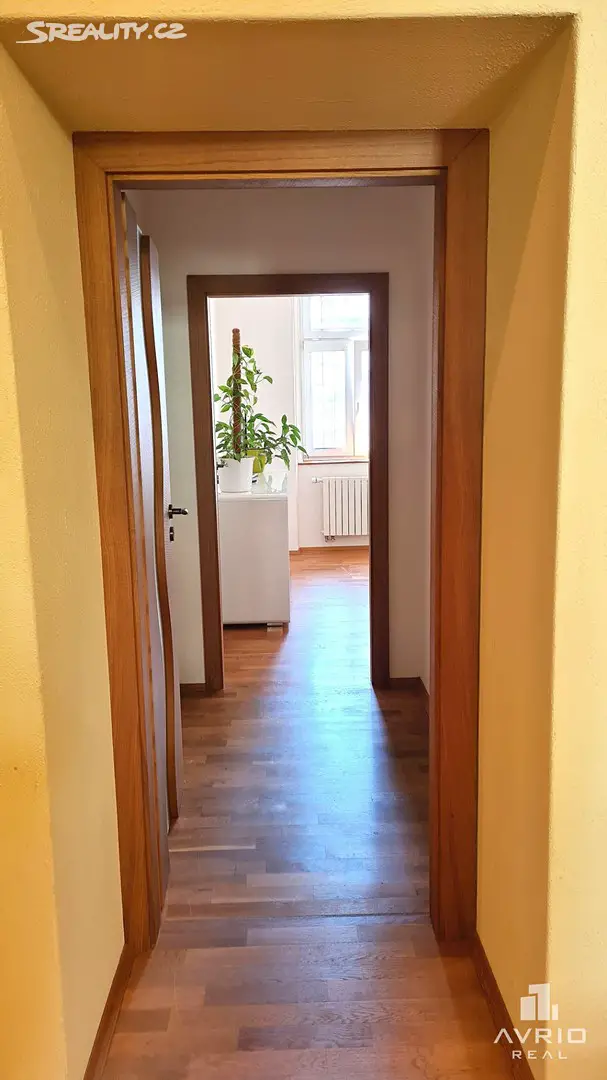 Pronájem bytu 3+kk 123 m², Rybářská, Brno - Brno-střed