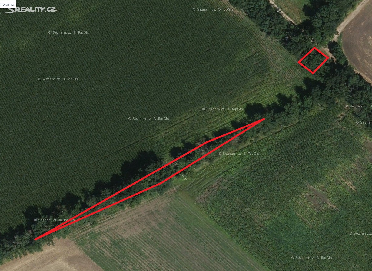 Prodej  lesa 2 352 m², Prušánky, okres Hodonín