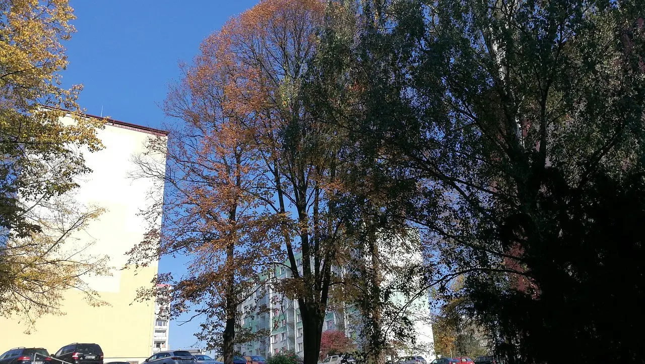 17. listopadu, Ústí nad Labem - Bukov
