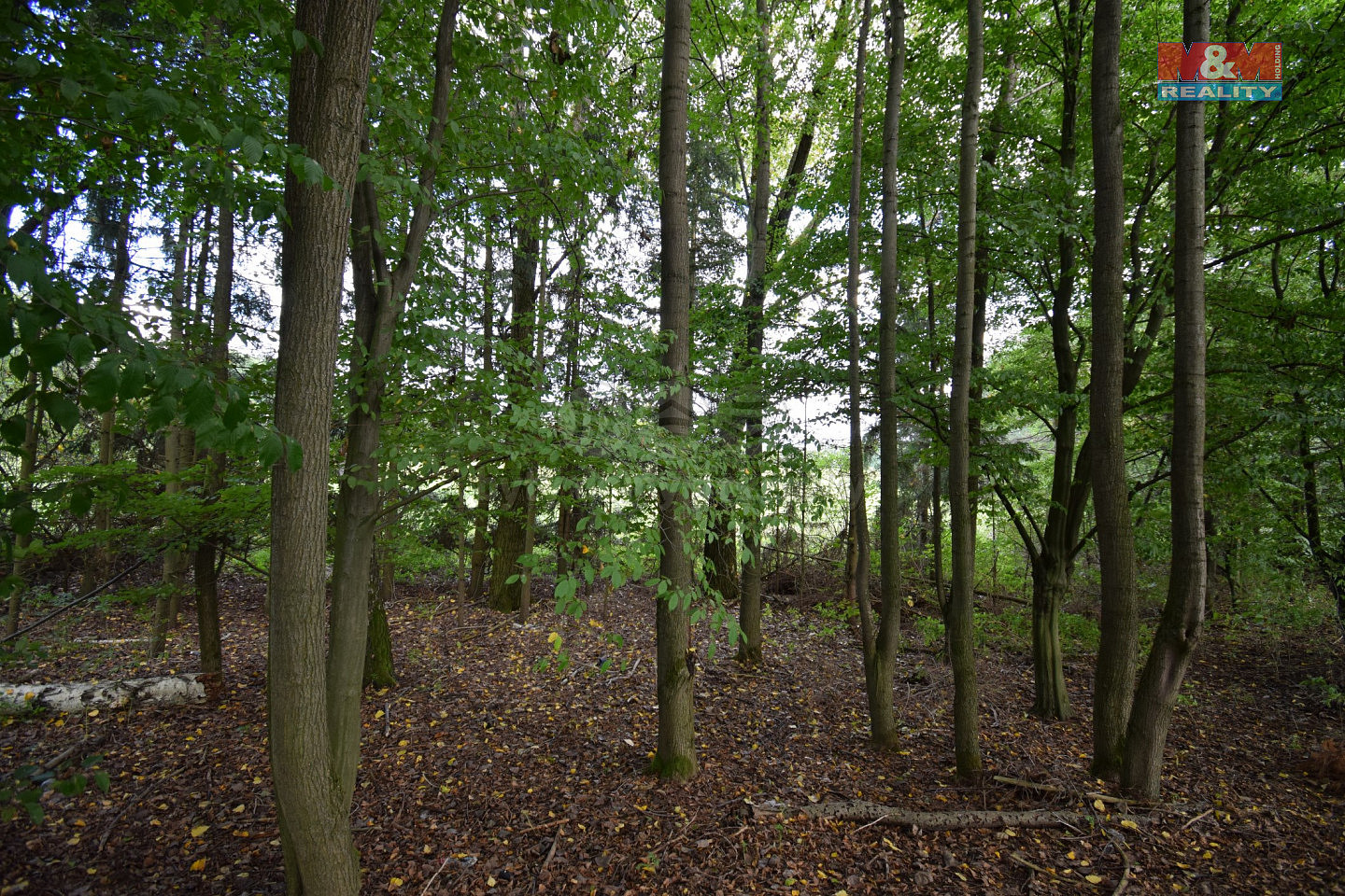 Borohrádek, okres Rychnov nad Kněžnou