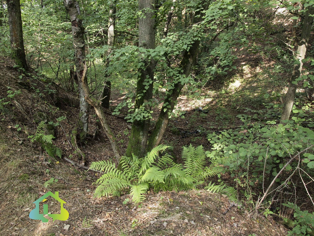 Olbramovice - Olbramovice Městečko, okres Benešov