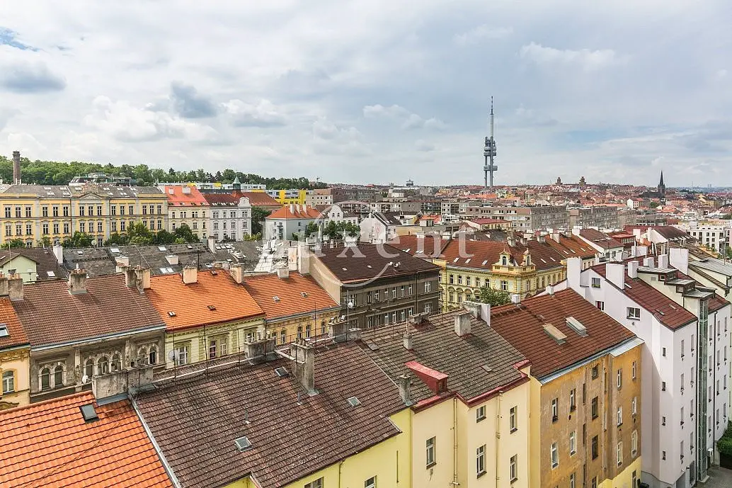 Kališnická, Praha 3 - Žižkov