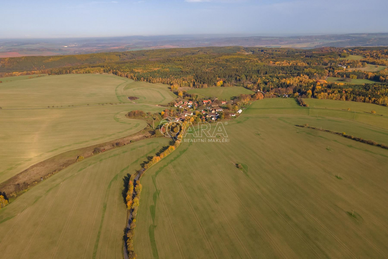 Tis u Blatna - Kračín, okres Plzeň-sever