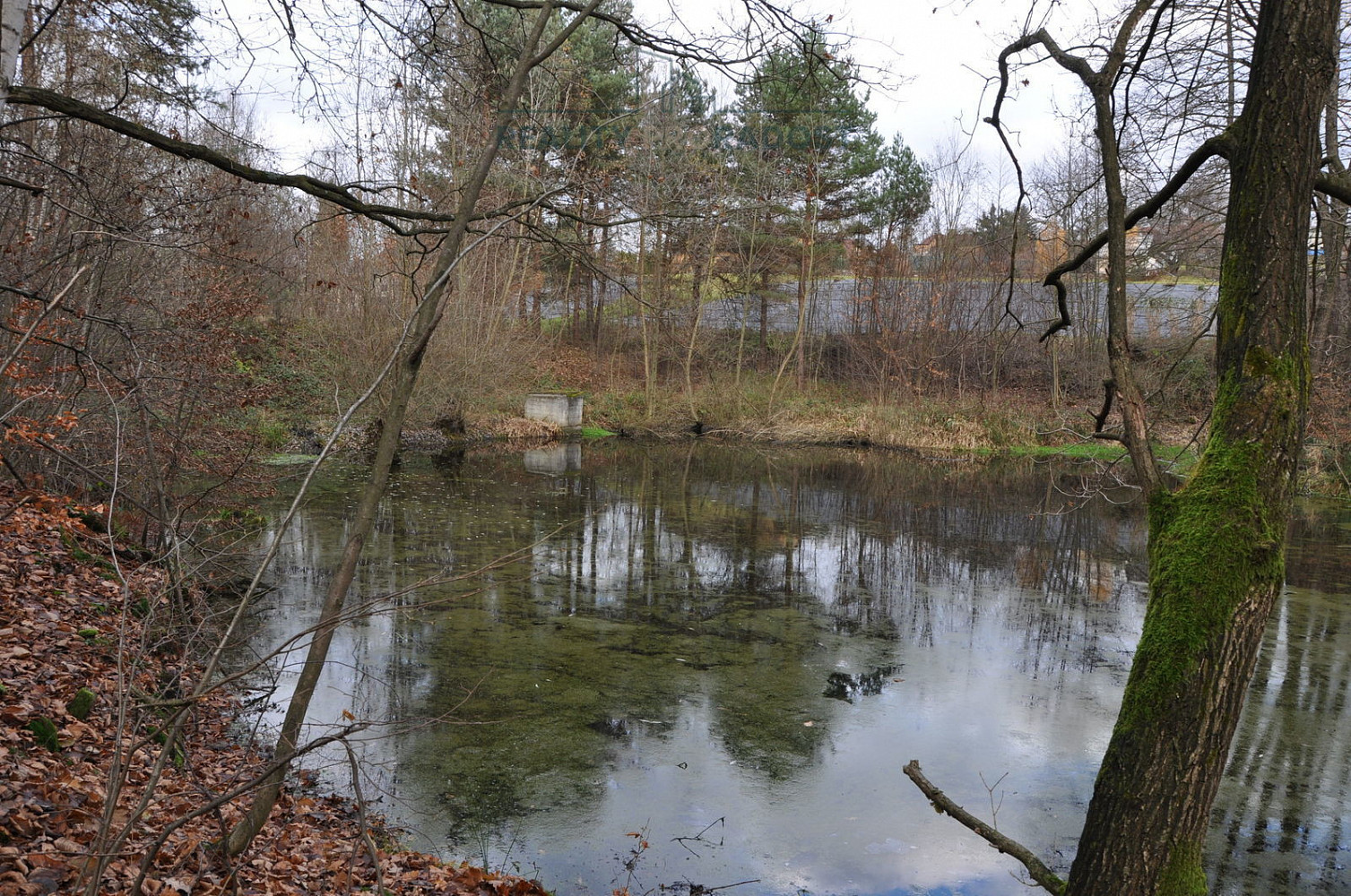 Petřvald, okres Karviná