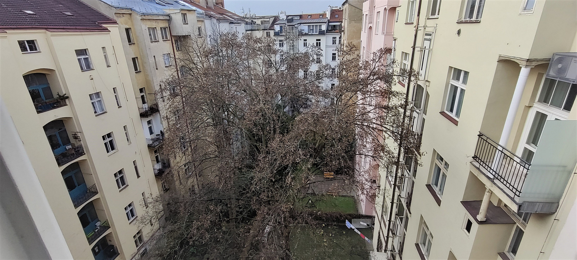 Polská, Praha 2 - Vinohrady