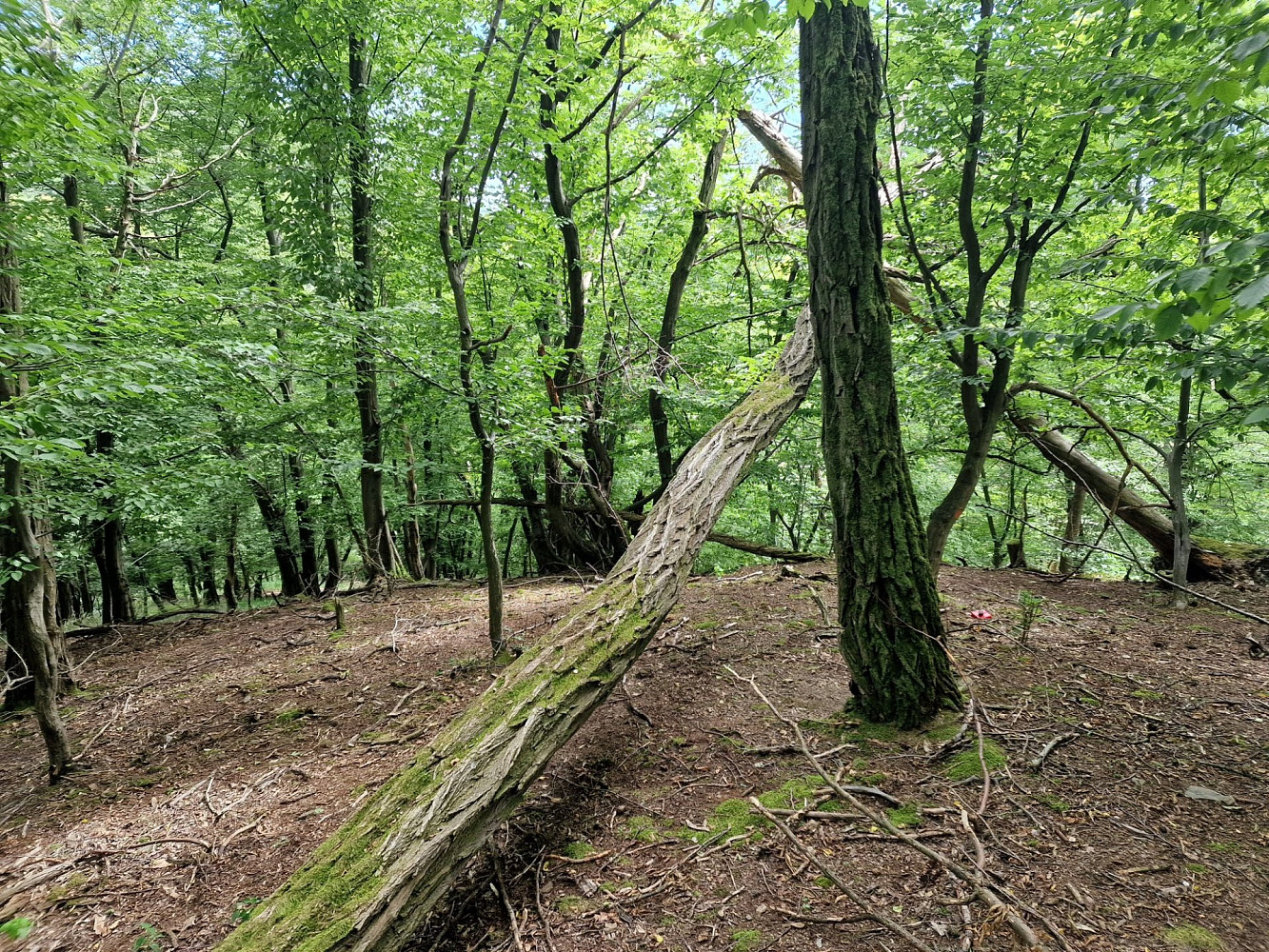 Zbečno, okres Rakovník