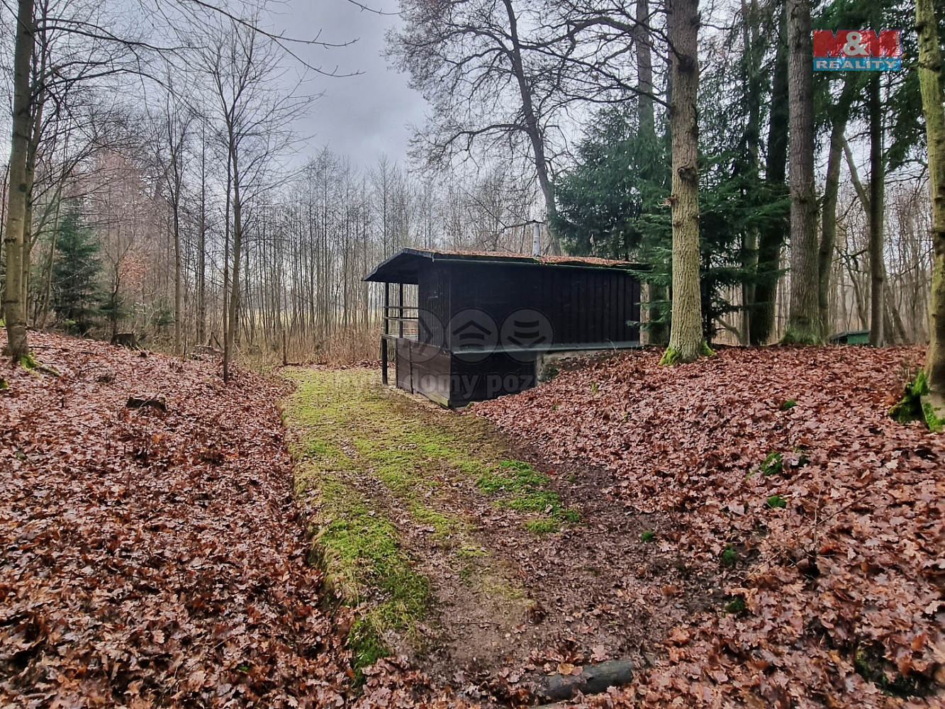 Týniště nad Orlicí - Štěpánovsko, okres Rychnov nad Kněžnou