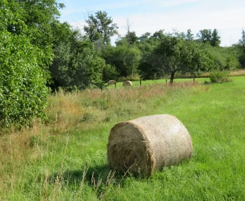 Velký Valtinov, okres Česká Lípa