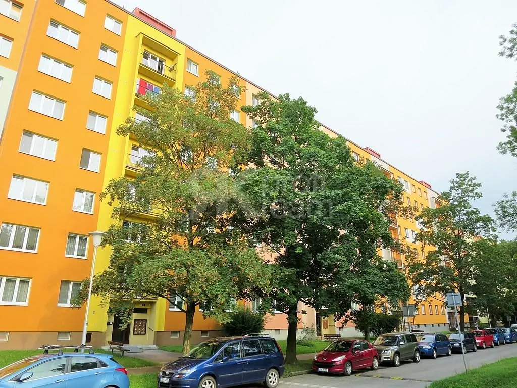 Aleše Hrdličky, Ostrava