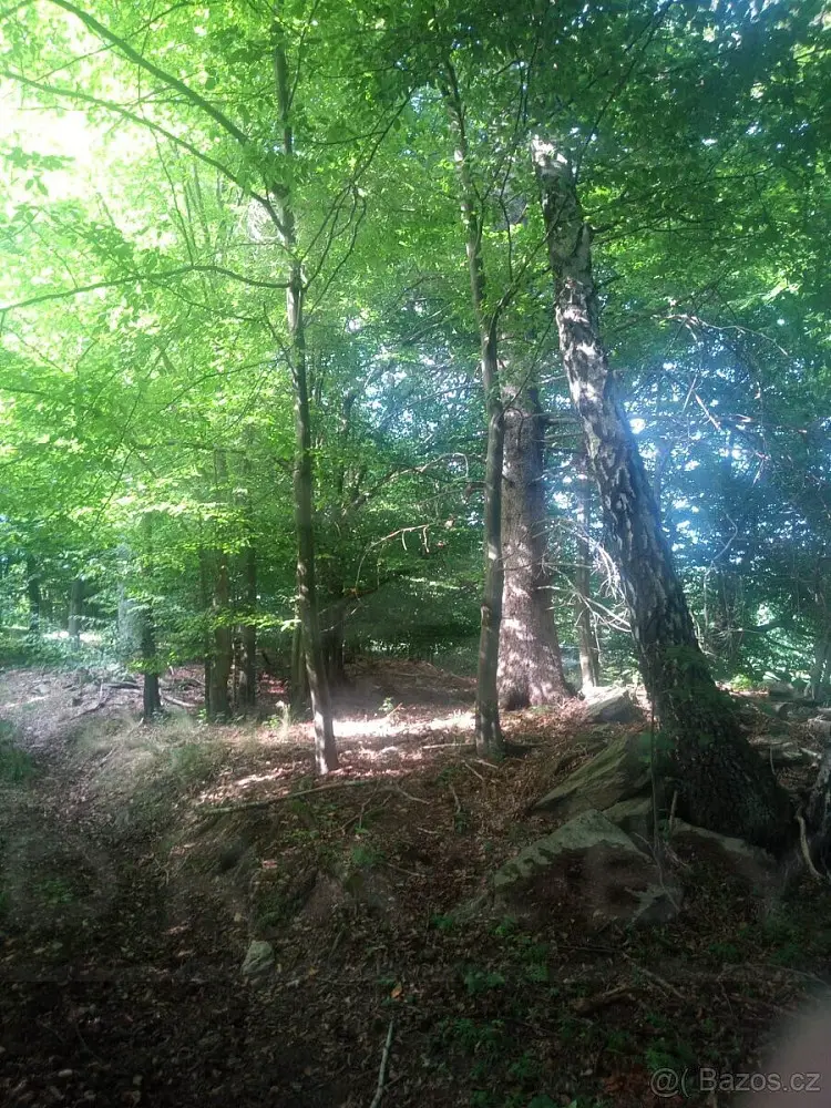 Prosetín - Čtyři Dvory, okres Žďár nad Sázavou