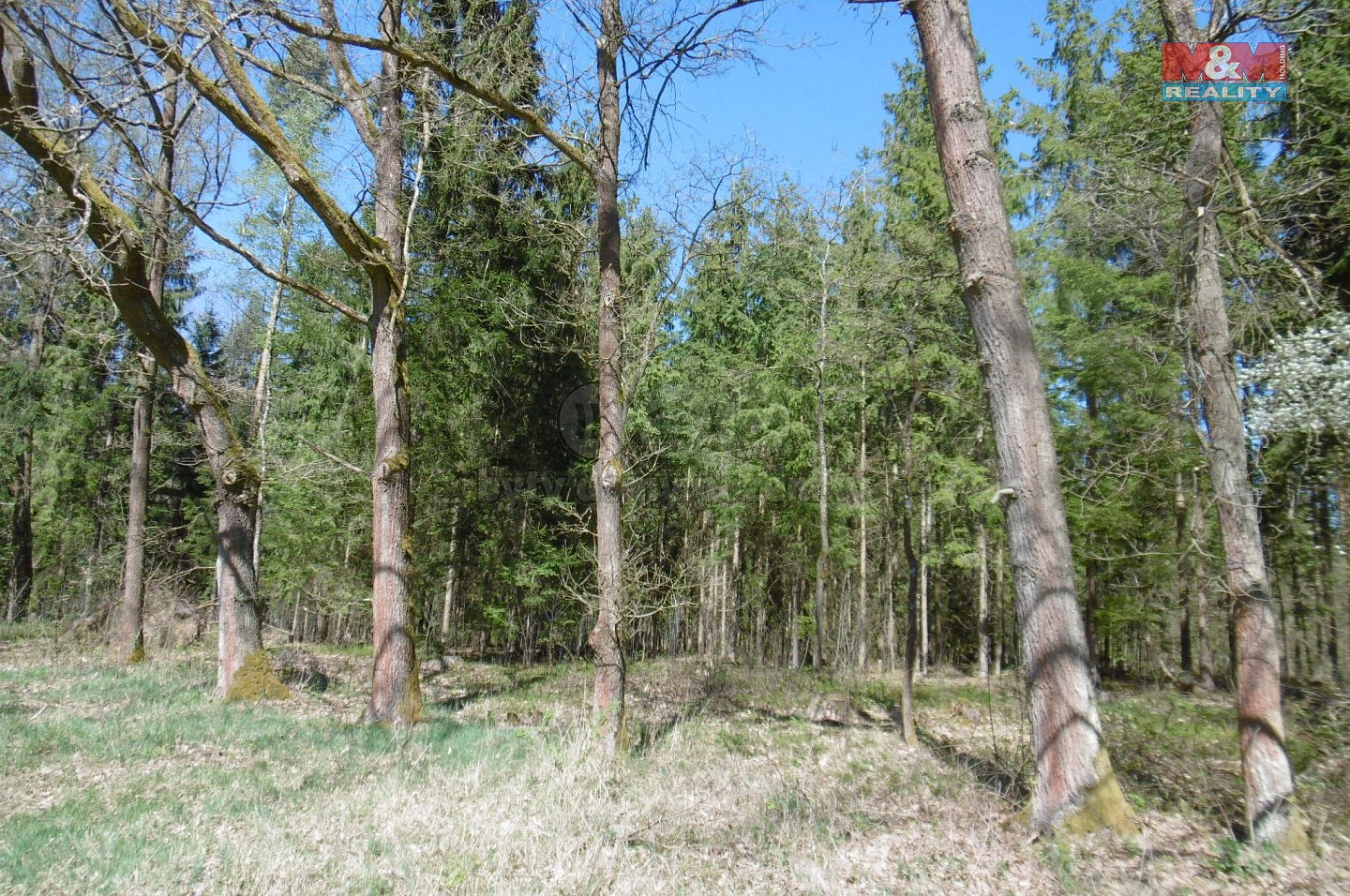 Chlum u Třeboně, okres Jindřichův Hradec