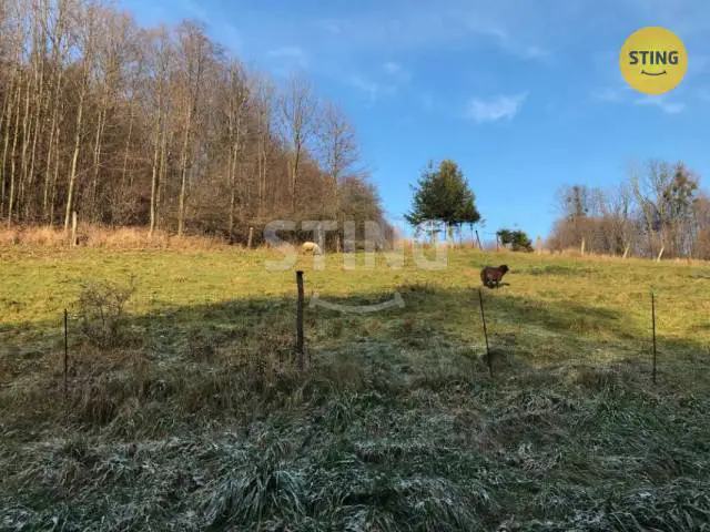 Vendryně, Frýdek-Místek