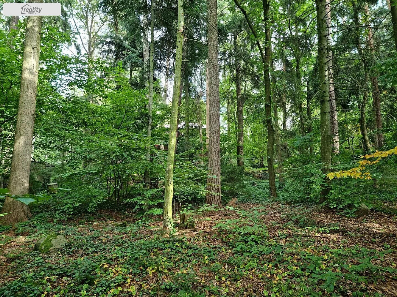 Lesní, Jevany, okres Praha-východ
