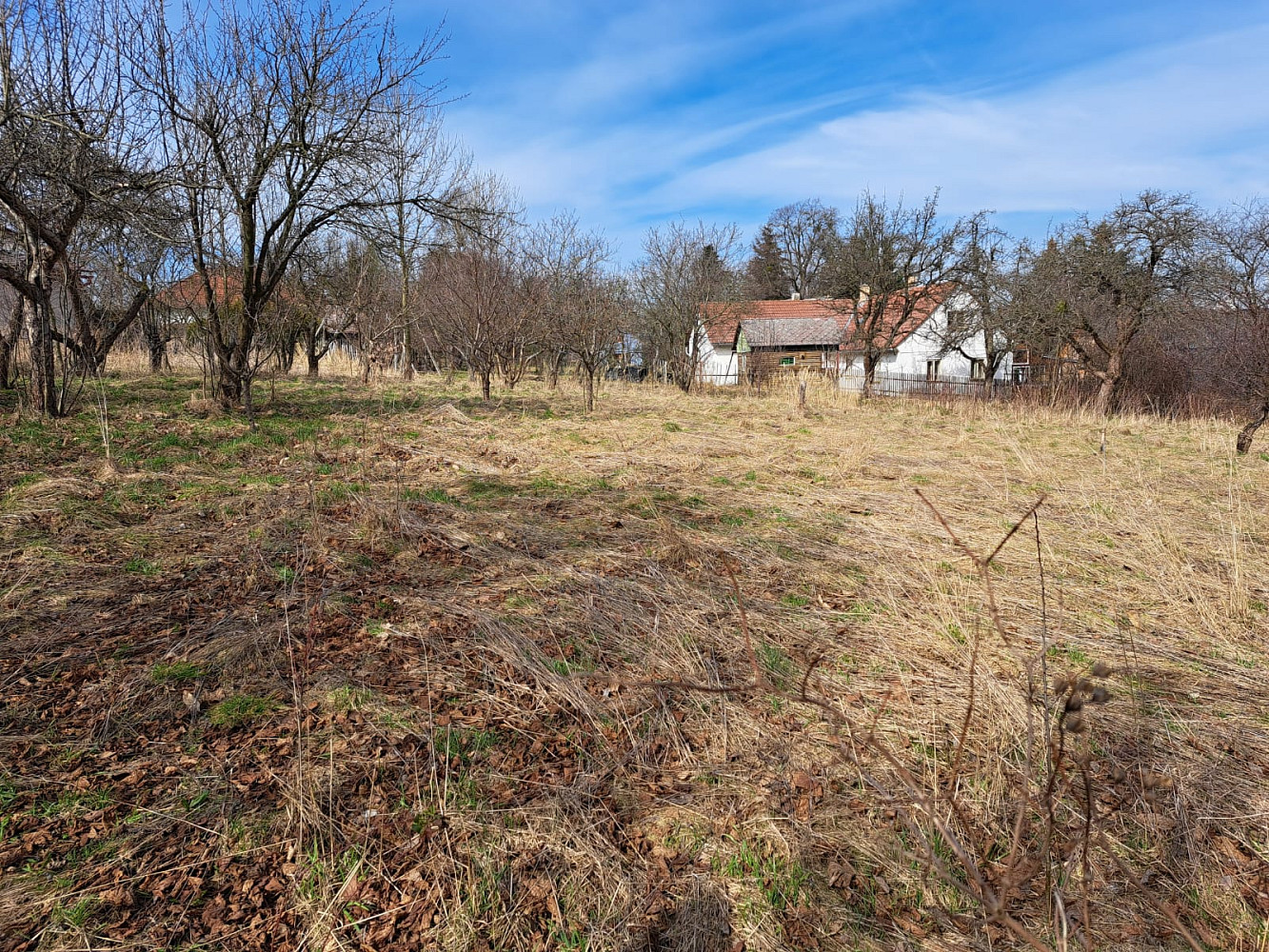 Havlíčkobrodská, Nasavrky, okres Chrudim