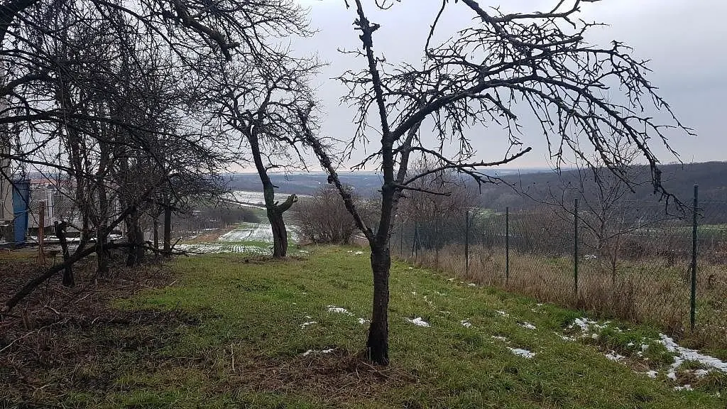 Vrbice, okres Břeclav