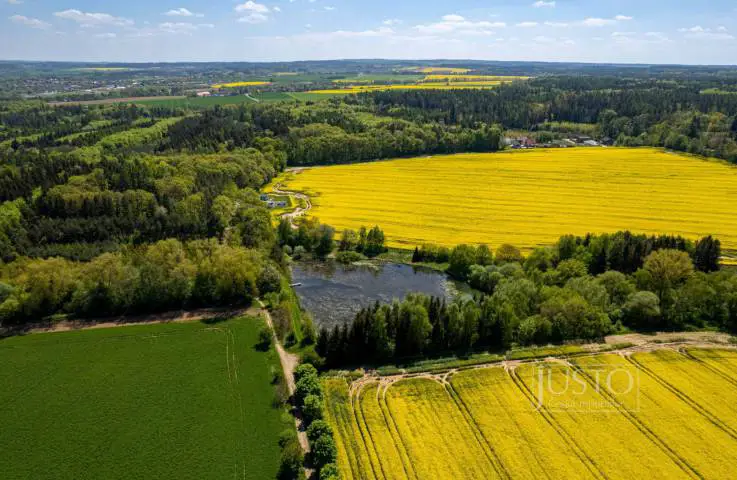 Přišimasy, Kolín