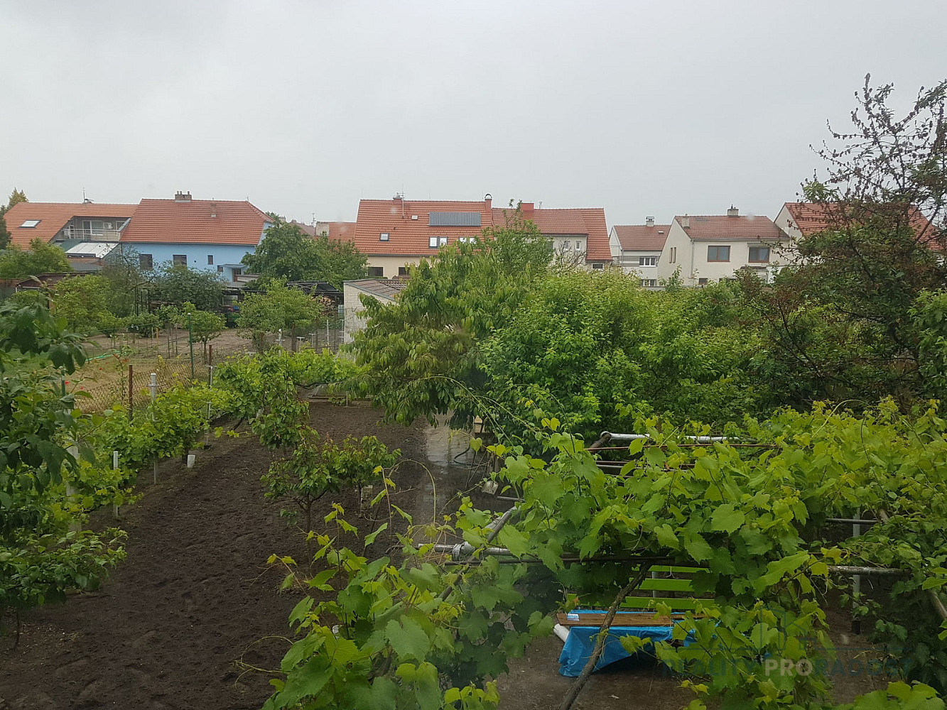 Dubňany, okres Hodonín