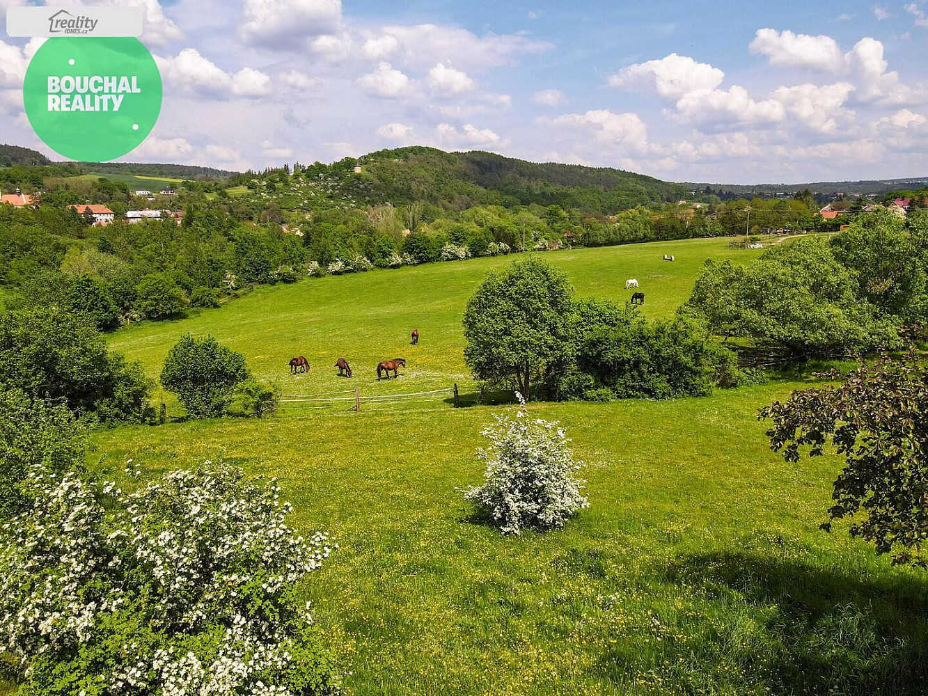 Luční, Starý Plzenec, okres Plzeň-město